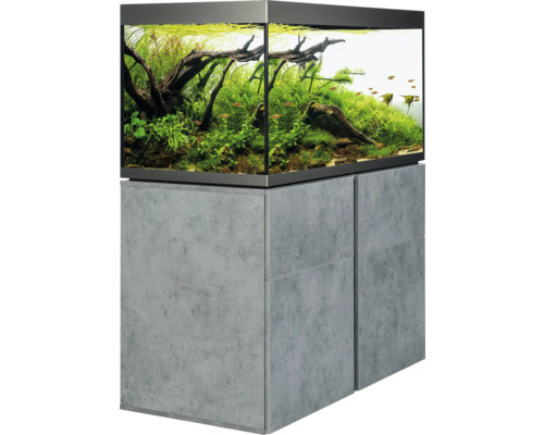 Aquarium avec meuble bas, planté et avec des poissons