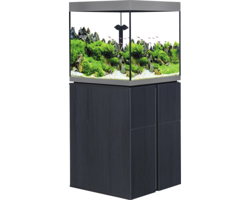 Aquarium avec meuble bas pour la pisciculture et la décoration