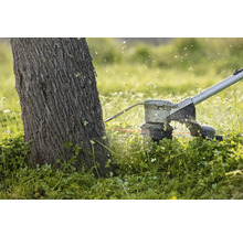 Coupe-bordures en action autour d'un arbre.