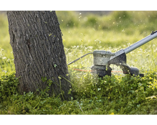 Coupe-bordures en action autour d'un arbre.