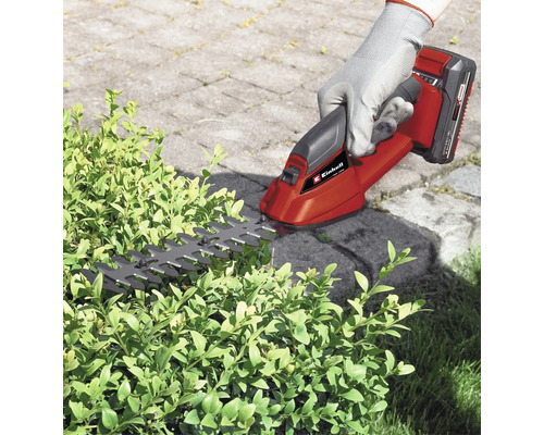 Einhell Akku-Strauchschere beim Schneiden einer Hecke
