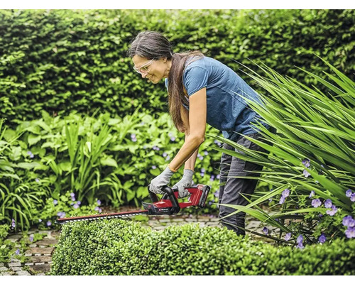 Einhell  Taille-haie - Acheter sur HORNBACH