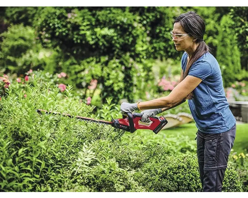 Einhell  Taille-haie - Acheter sur HORNBACH