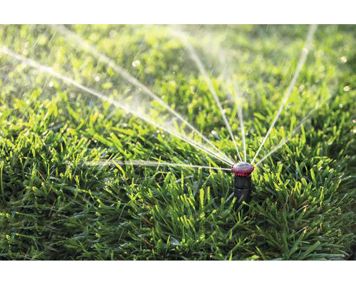 Arroseur de pelouse arrosant la pelouse