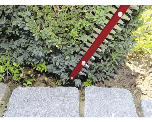 Taille-haie coupant une haie