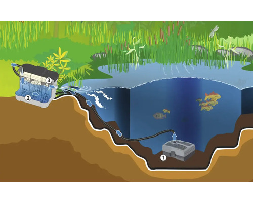 Illustration d''un bassin de jardin avec pompe et système de filtration pour le nettoyage de l''eau