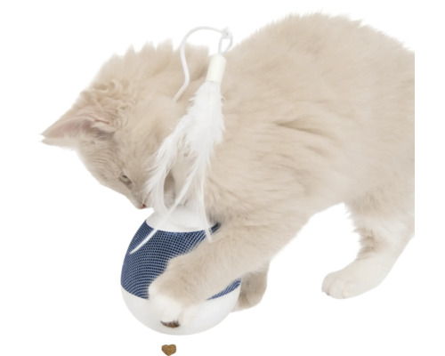 Chat jouant avec un jouet interactif pour chat avec plume