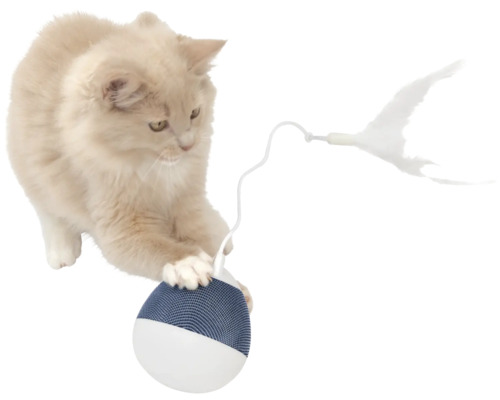 Chat jouant avec un jouet interactif pour chat avec plume