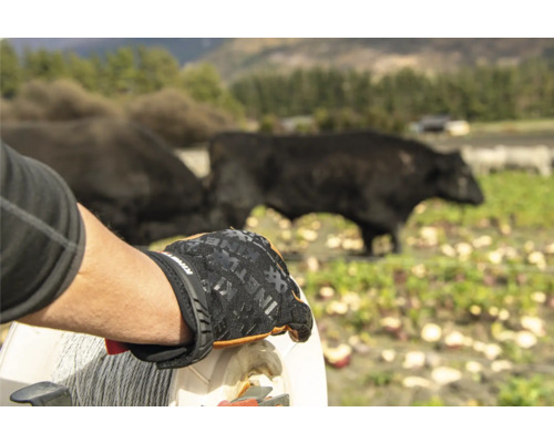 Personne portant des gants de travail devant un pâturage