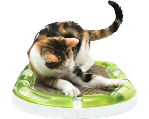 Chat se gratte sur un griffoir avec une balle de jeu