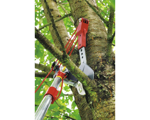 Astschneider in einem Baum im Einsatz