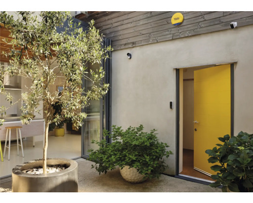 Vue sur cour avec arbre, plantes et équipement de sécurité Yale