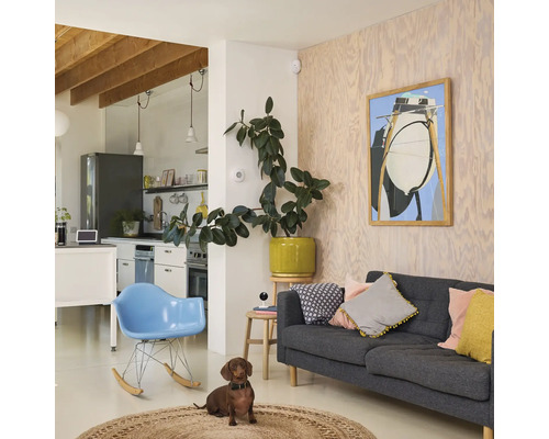 Helles Wohnzimmer mit Sofa, Sessel und Dackel auf einem runden Teppich