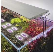 Aquarium avec éclairage LED et plantes aquatiques