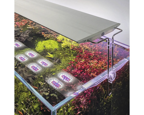 Aquarium avec éclairage LED et plantes aquatiques