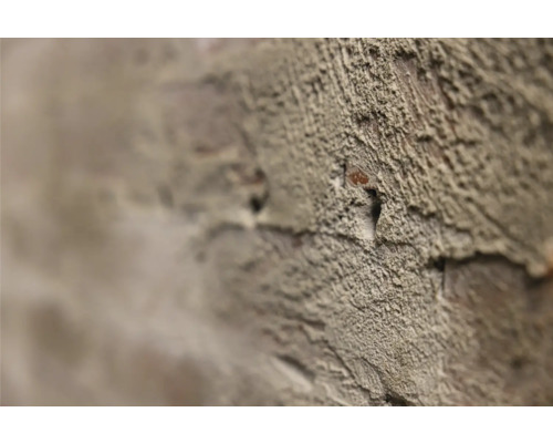 Gros plan d''un mur de briques avec du plâtre