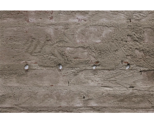 Gros plan d''un mur en briques crépies avec des chevilles apparentes