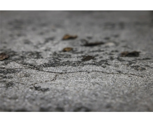 Gros plan d''une surface en béton endommagée avec des fissures et des petites feuilles