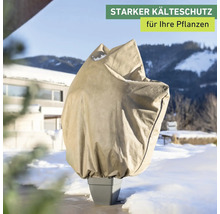 Pflanzenschutzhülle im Wintergarten
