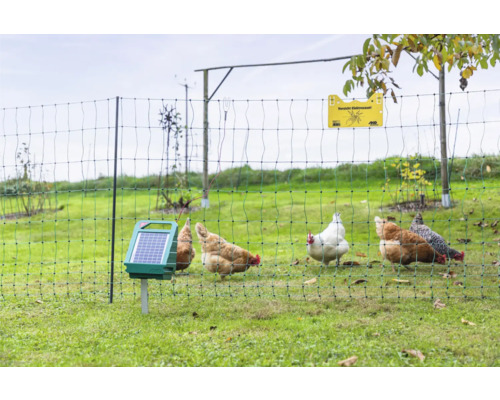 Geflügelzaun mit Solargerät und Warnschild mit der Aufschrift Vorsicht Elektrozaun mit Hühnern auf einer Wiese