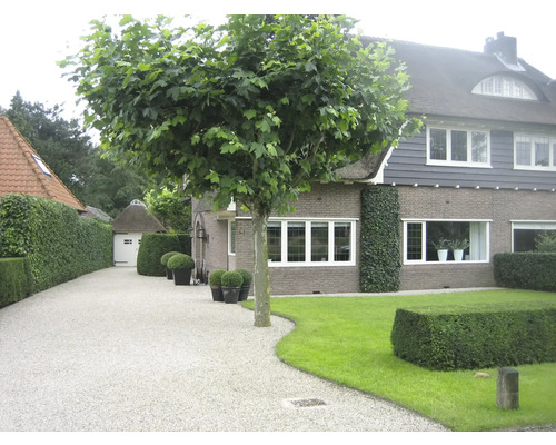 Einfahrt zu einem Haus mit Garten und Bäumen.