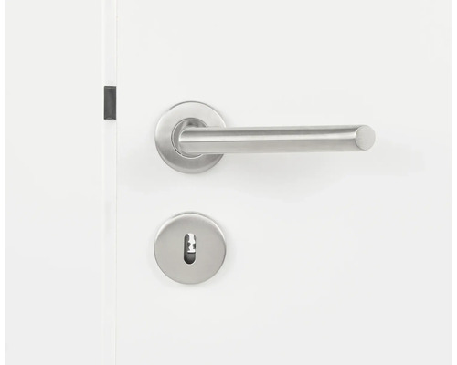 Poignée de porte en acier inoxydable avec rosette de clé sur une porte