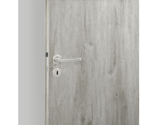 Porte intérieure avec poignée de porte et rosette de clé