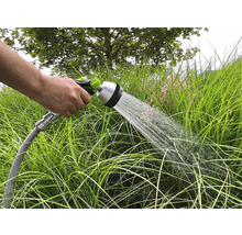 Une main tient un tuyau d'arrosage qui arrose les plantes du jardin.