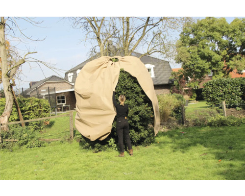 Femme recouvrant une plante avec un sac de protection hivernale dans le jardin.