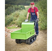 Zipper Mini benne basculante ZI-MD300 avec chasse-neige