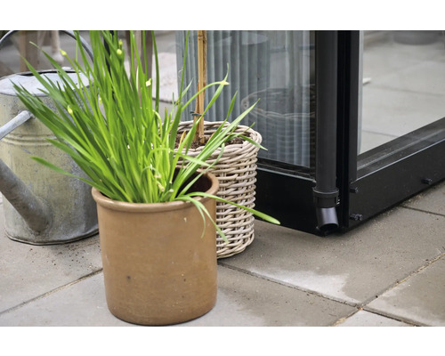 Aussenaufnahme mit Pflanzen in Töpfen und Giesskanne vor einem Gewächshaus