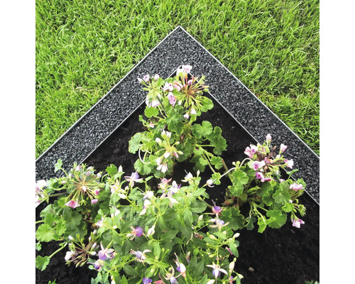 Bordure de parterre avec parterre fleuri et pelouse