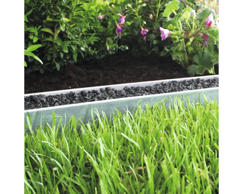 Gros plan d''un jardin avec gazon, bordure de parterre et plantes