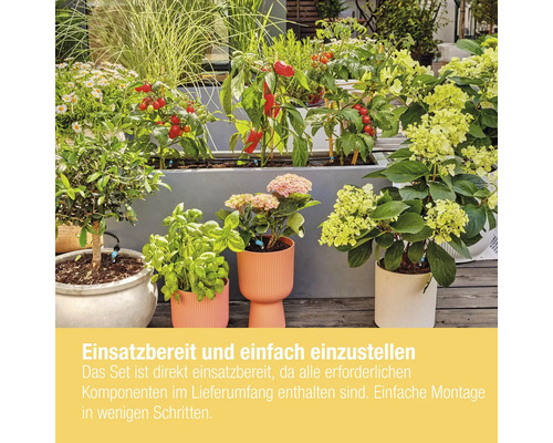 Garten mit Hochbeet, Blumen und Gemüsepflanzen