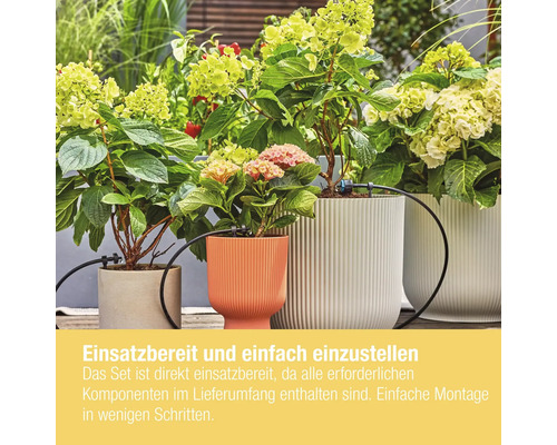 Fleurs dans des pots avec système d''irrigation