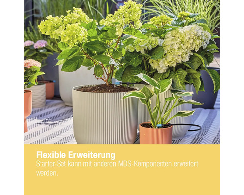 Scène avec des plantes en pot et un système d''irrigation pour les plantes.