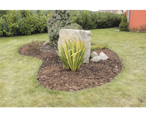 Espace de jardin aménagé avec plantes, pierres et gazon