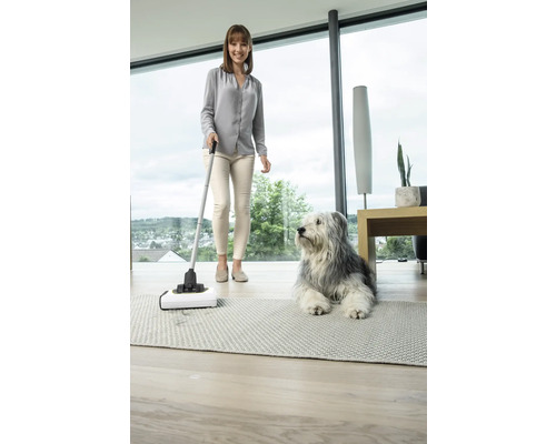 Une femme utilise un aspirateur dans une pièce lumineuse, tandis qu''un chien est allongé sur un tapis.