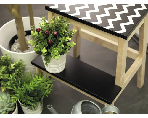 Scène décorative avec un escabeau à motif zigzag et diverses plantes d''intérieur.