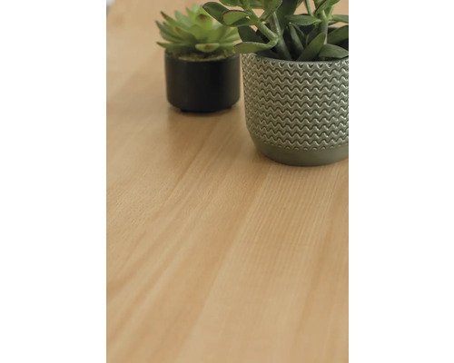 Deux plantes en pot sur une surface en bois