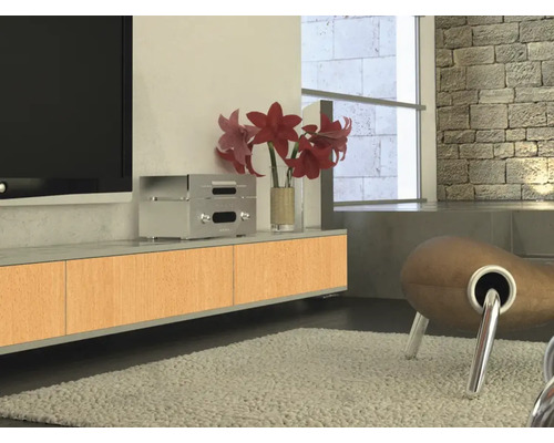 Salon avec meuble TV, appareils électroniques et décoration