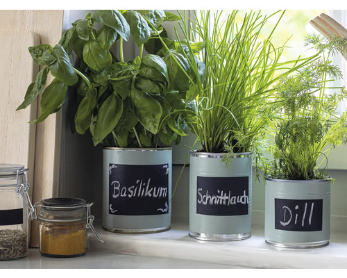 Kräuter in bemalten Dosen mit Beschriftung Basilikum, Schnittlauch und Dill