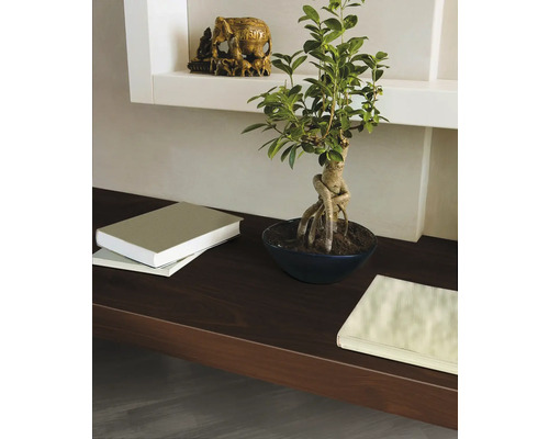 Dekoratives Arrangement mit einer Zimmerpflanze, Büchern und einer Elefantenskulptur auf einem Regal