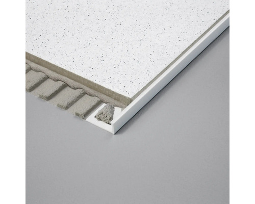 Montage de panneaux de plafond avec profilé