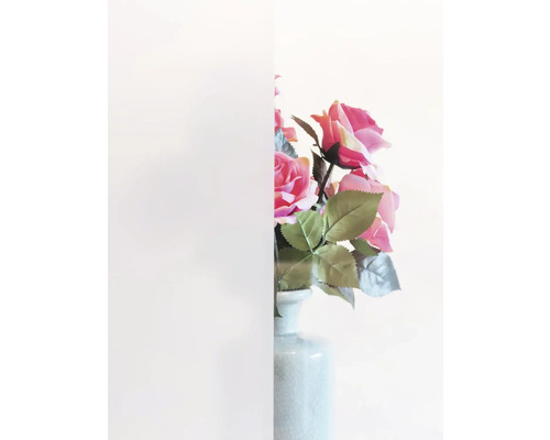 Sichtschutzfolie mit Blumen im Hintergrund