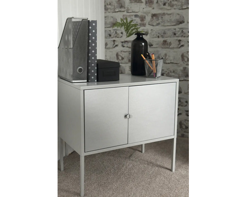 Armoire à deux portes avec étagères, boîte et décoration