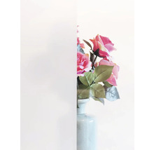 Vue à travers le verre dépoli sur les roses dans un vase