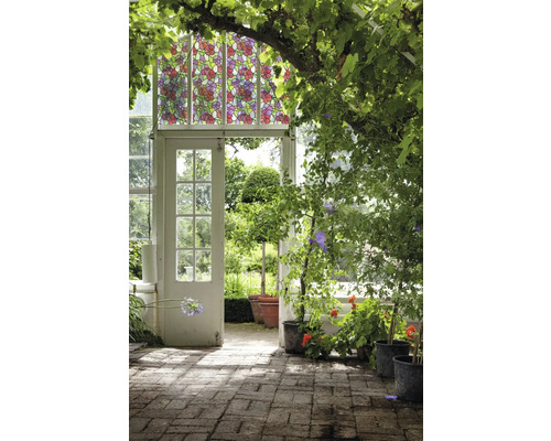 Szene mit Gewächshaus, Pflanzen und dekorativer Fensterfolie mit Blumenmuster