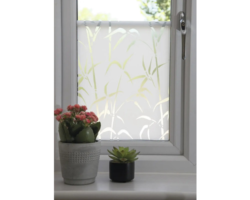 Fenêtre avec film de verre dépoli et motif de bambou, décorée de deux plantes en pot