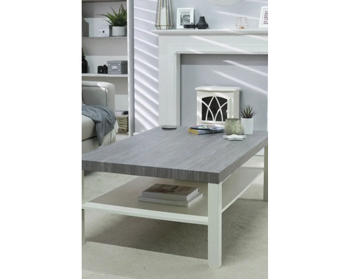 Salon avec canapé, étagère, cheminée et table basse avec étagère